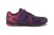 Gradient Purple