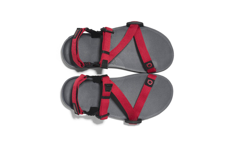 charcoal-red-pepper